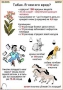 Комплект кодотранспарантов "Ядовитые растения" - fgospostavki.ru - Нижний Тагил