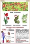 Комплект кодотранспарантов "Ядовитые растения" - fgospostavki.ru - Нижний Тагил